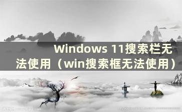 Windows 11搜索栏无法使用（win搜索框无法使用）